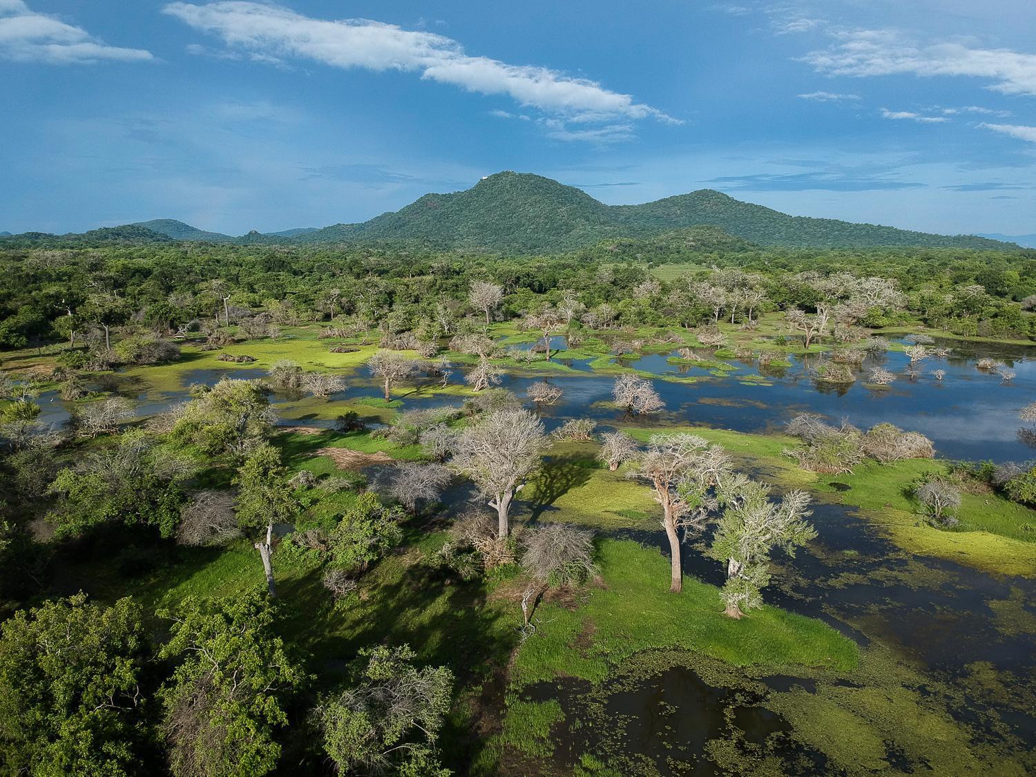 ホテル Kulu Safaris ヤーラ エクステリア 写真